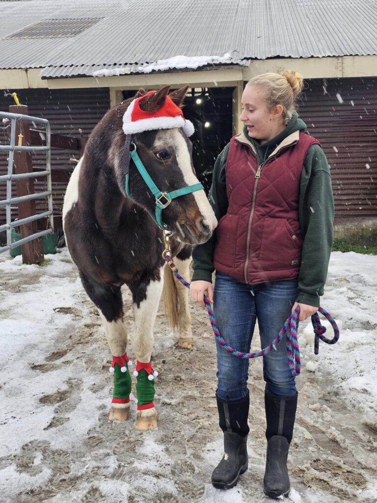 Volunteer at Rhythm of the Rein, Therapeutic Horsemanship in Marshfield