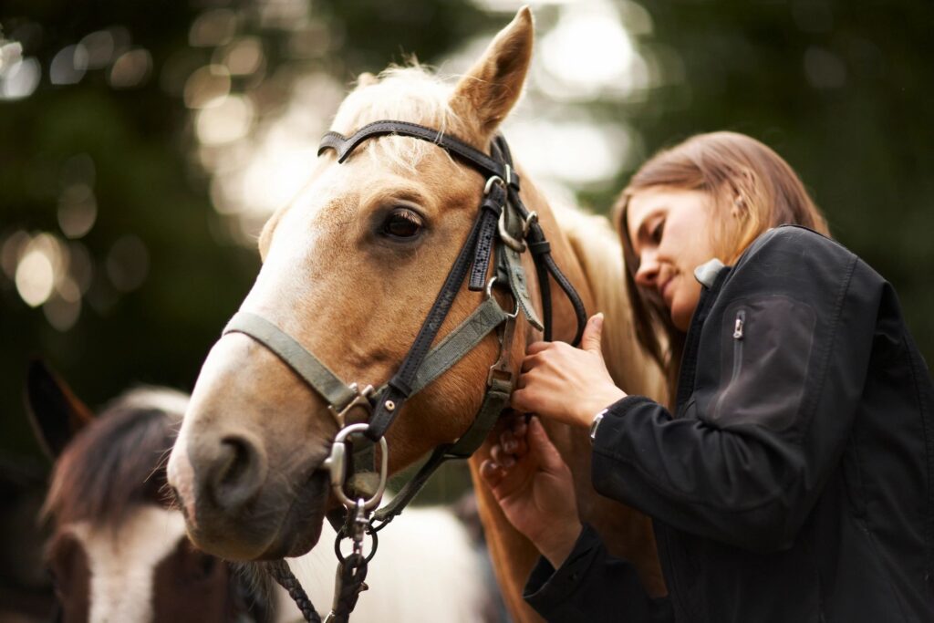 Donate to Rhythm of the Rein, Therapeutic Horsemanship in Marshfield Vermont